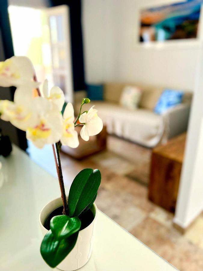 Cosy, New Studio In Costa Adeje المظهر الخارجي الصورة